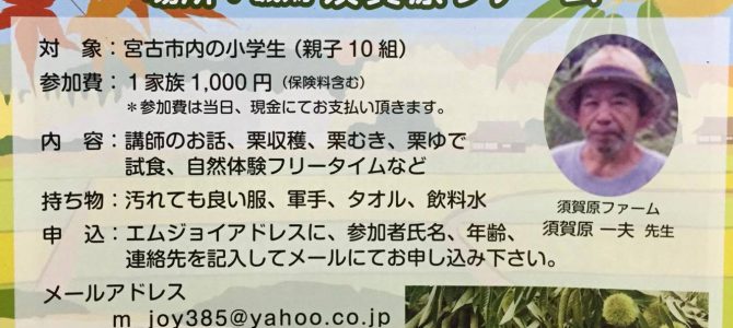 親子秋の栗拾い会参加者募集中！